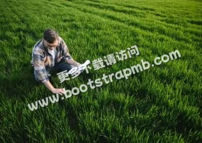 探索九游游戏世界 - 九游